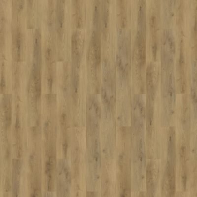 Colton-62335-Ralph-frontal