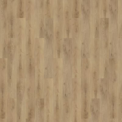 Colton-62336-Tyler-frontal